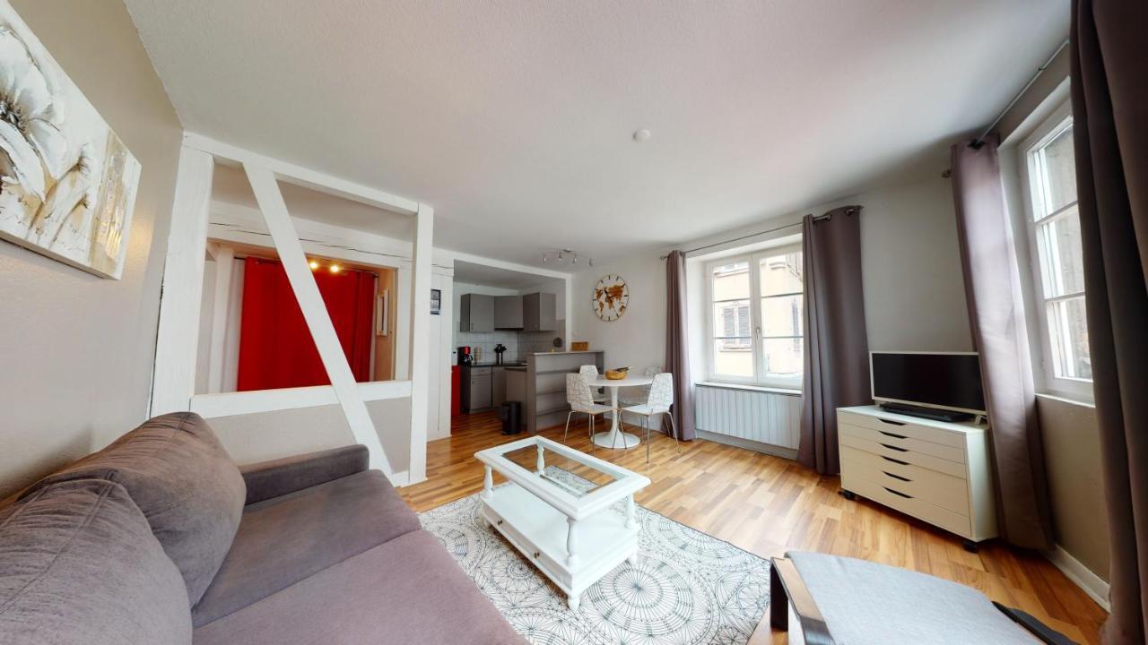 Appartment Petite Venise Centre Historique Colmar Esterno foto